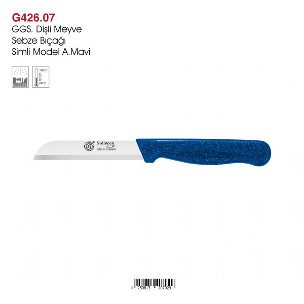 GGS Dişli Meyve Sebze Bıçağı Simli Model Açık Mavi